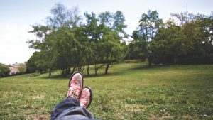 quiz-terrasoverkapping