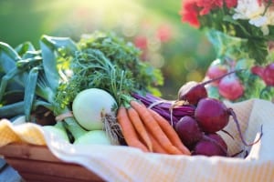 groenten_en_fruit_verbouwen
