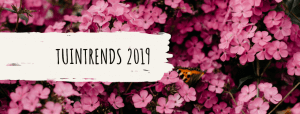 blog cover_ tuintrends 2019