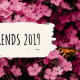 blog cover_ tuintrends 2019