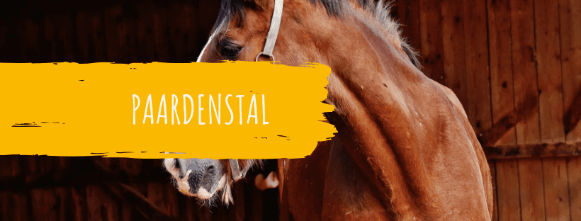 blog_cover_paardenstal_houtbouw_hiemstra