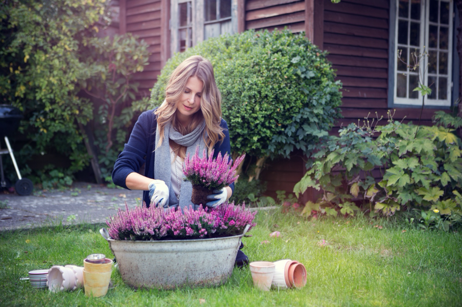 Houtbouw-Hiemstra-Twijzel-tuin-herfstklaar-maken