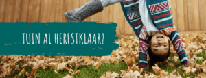 houtbouw-hiemstra-blog-herfstklaar-2020