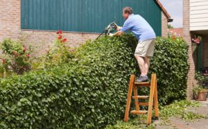 opstapladder hout