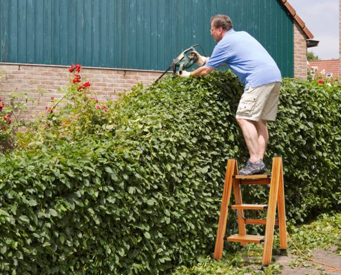 opstapladder hout