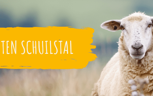 Een houten schuilstal voor jouw schapen