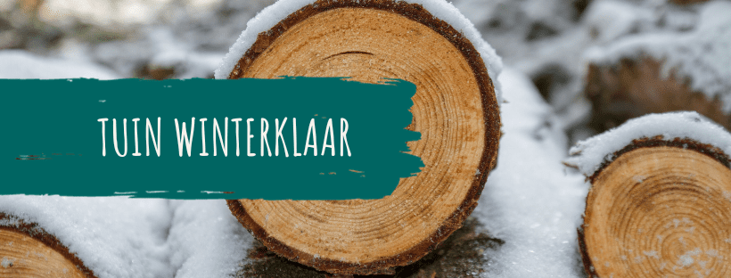 7 tips om je tuin winterklaar te maken