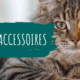 Onmisbare accessoires voor je kat in een houten woonomgeving
