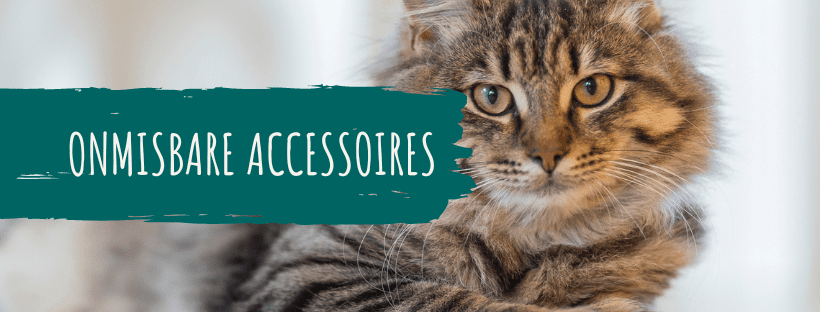 Onmisbare accessoires voor je kat in een houten woonomgeving