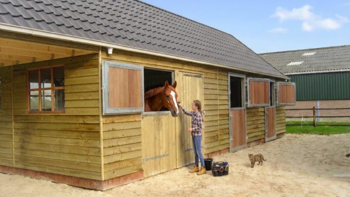 Paardenboxen / paardenstallen bouwen van hout